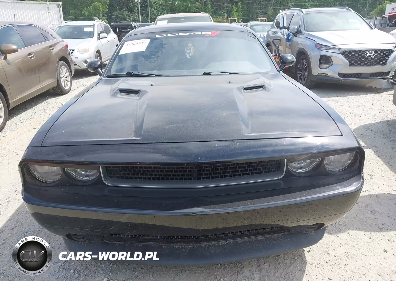 2014 Dodge Challenger Sxt VIN:2C3CDYAG6EH225607 - 12