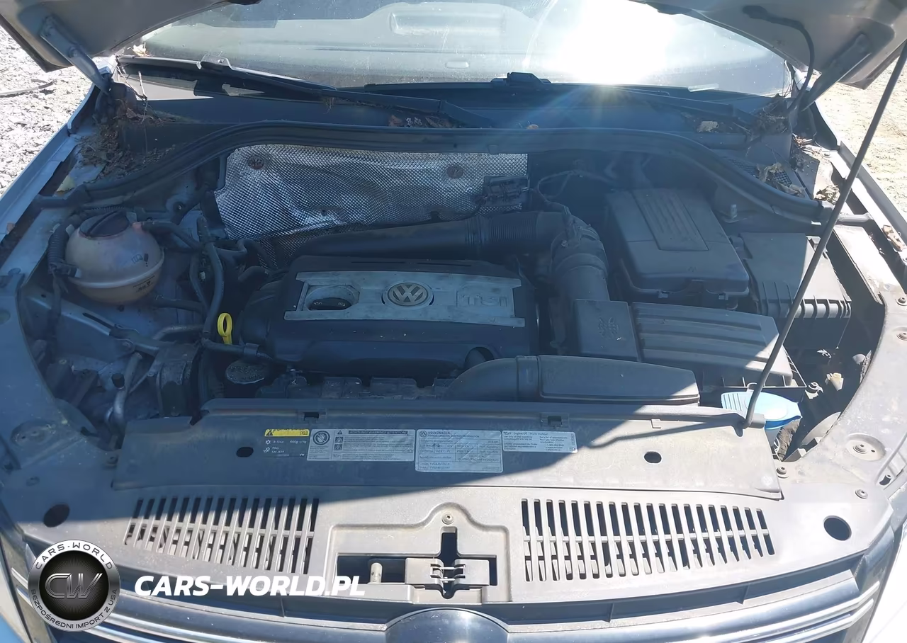 2015 Volkswagen Tiguan S VIN:WVGAV7AX3FW524187 - 10