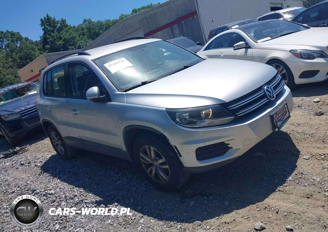 2015 Volkswagen Tiguan S VIN:WVGAV7AX3FW524187 - 13