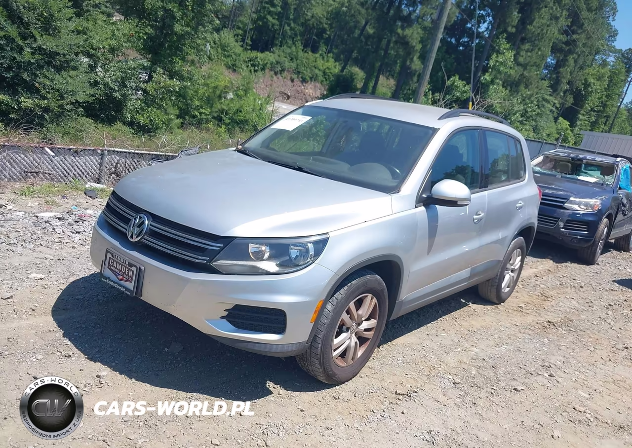 2015 Volkswagen Tiguan S VIN:WVGAV7AX3FW524187 - 2