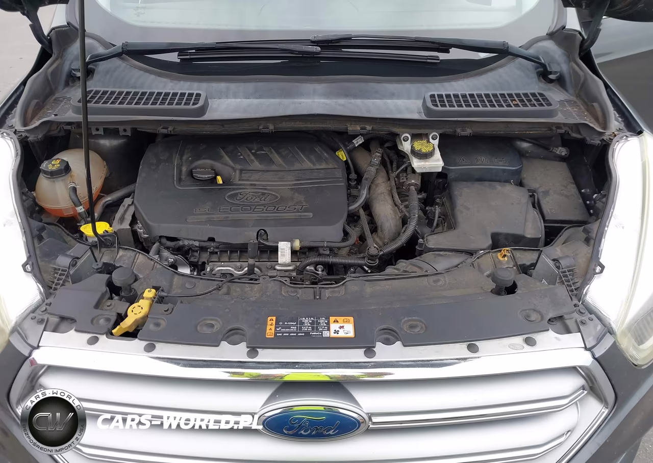 2017 Ford Escape Se VIN:1FMCU0GD6HUC68142 - 10