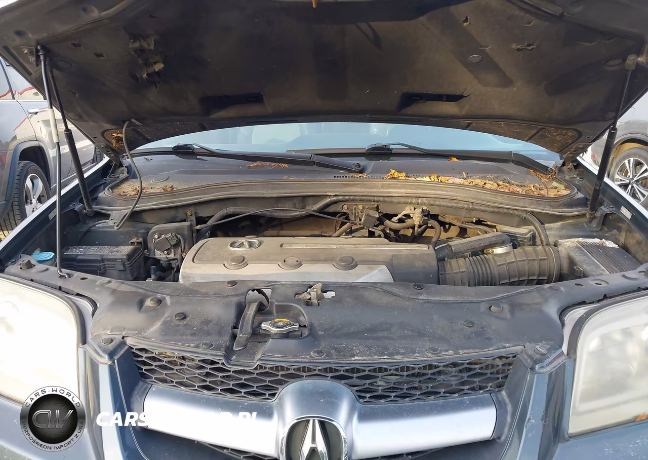 2004 Acura Mdx VIN:2HNYD18644H551842 - 10