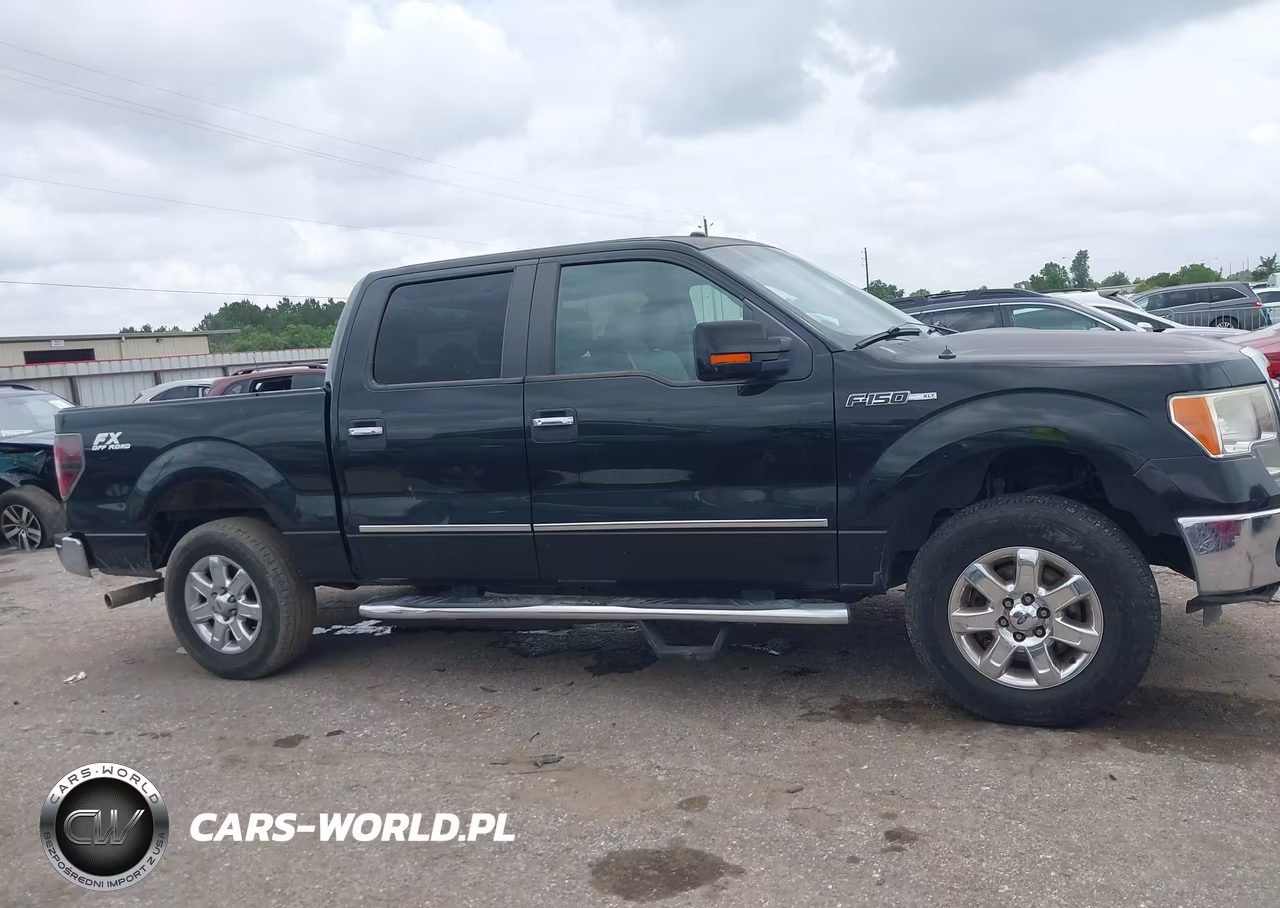 2013 Ford F-150 Xlt VIN:1FTFW1CF6DKE15929 - 13