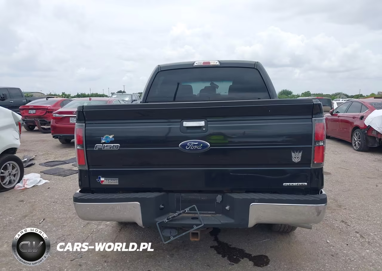 2013 Ford F-150 Xlt VIN:1FTFW1CF6DKE15929 - 16