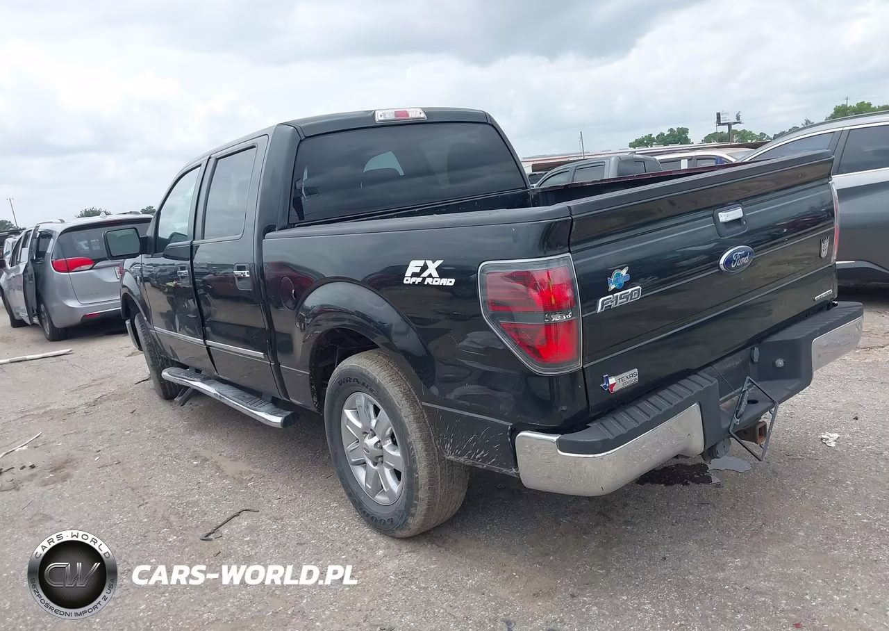 2013 Ford F-150 Xlt VIN:1FTFW1CF6DKE15929 - 3