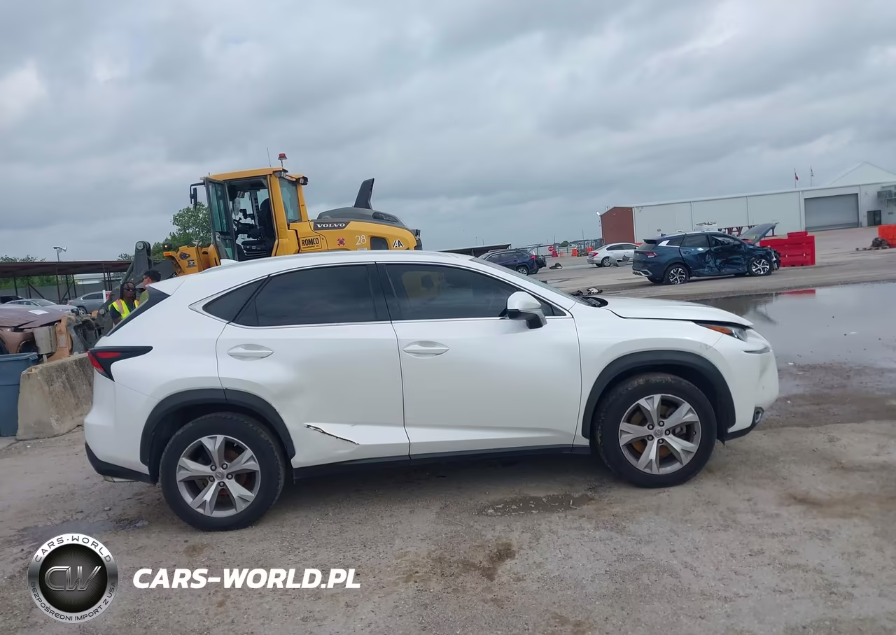 2017 Lexus Nx 200T VIN:JTJYARBZ9H2060324 - 13