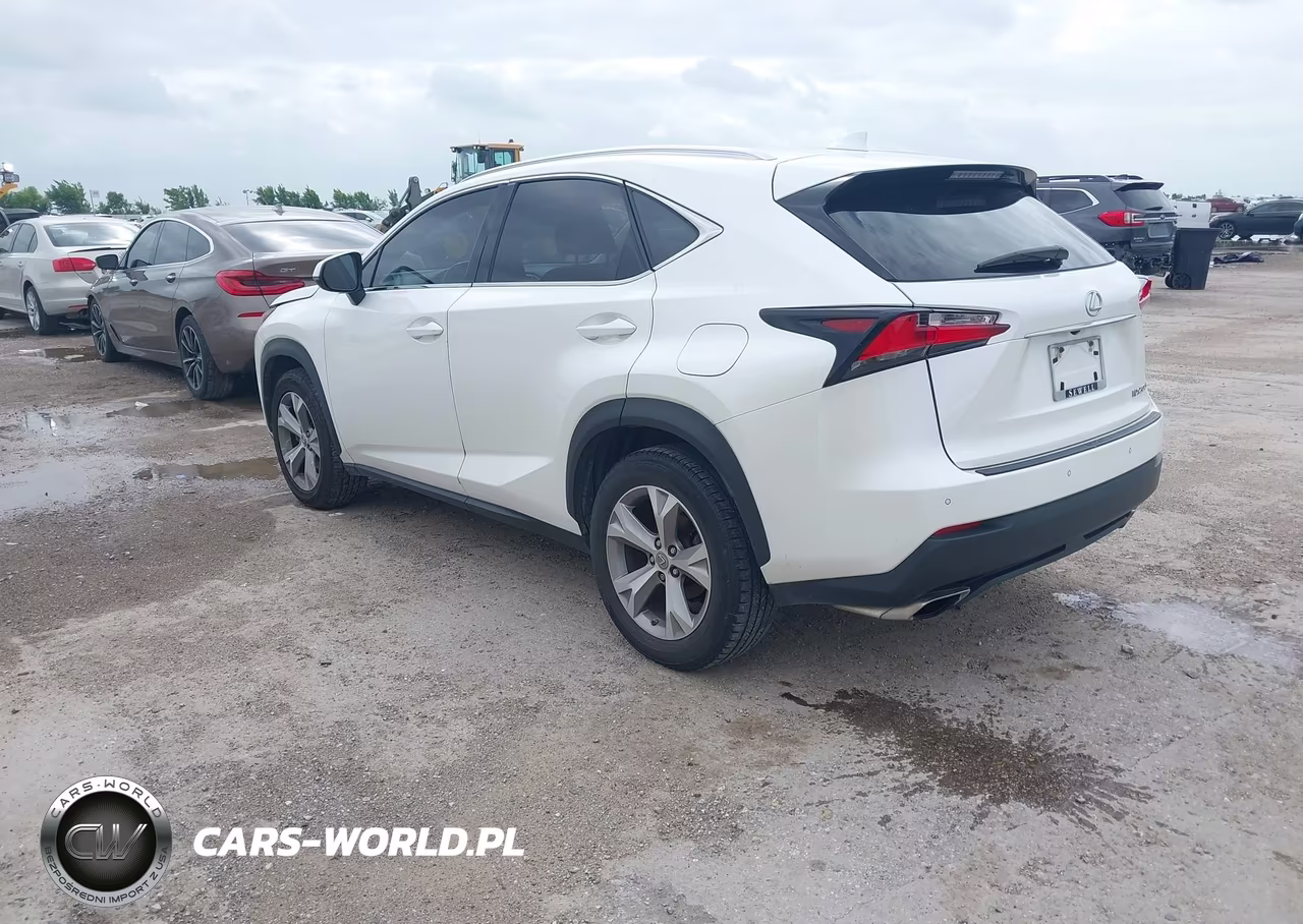2017 Lexus Nx 200T VIN:JTJYARBZ9H2060324 - 3