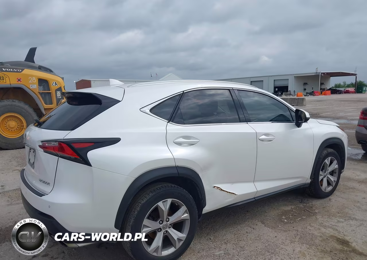 2017 Lexus Nx 200T VIN:JTJYARBZ9H2060324 - 6
