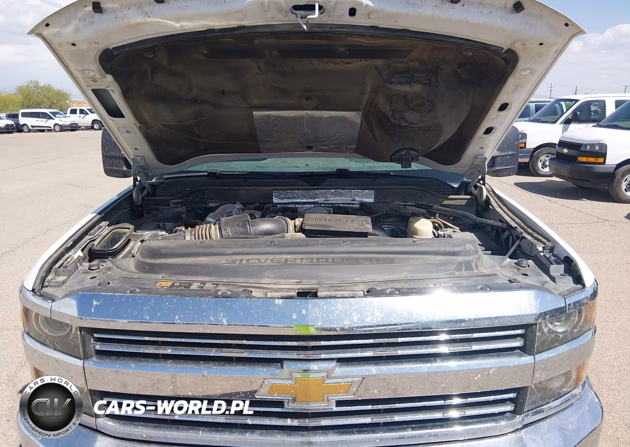 2017 Chevrolet Silverado 3500Hd Wt VIN:1GC4KYEY5HF233809 - 10