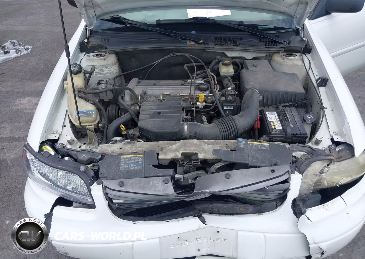 2004 Chevrolet Classic VIN:1G1ND52F04M539489 - 10