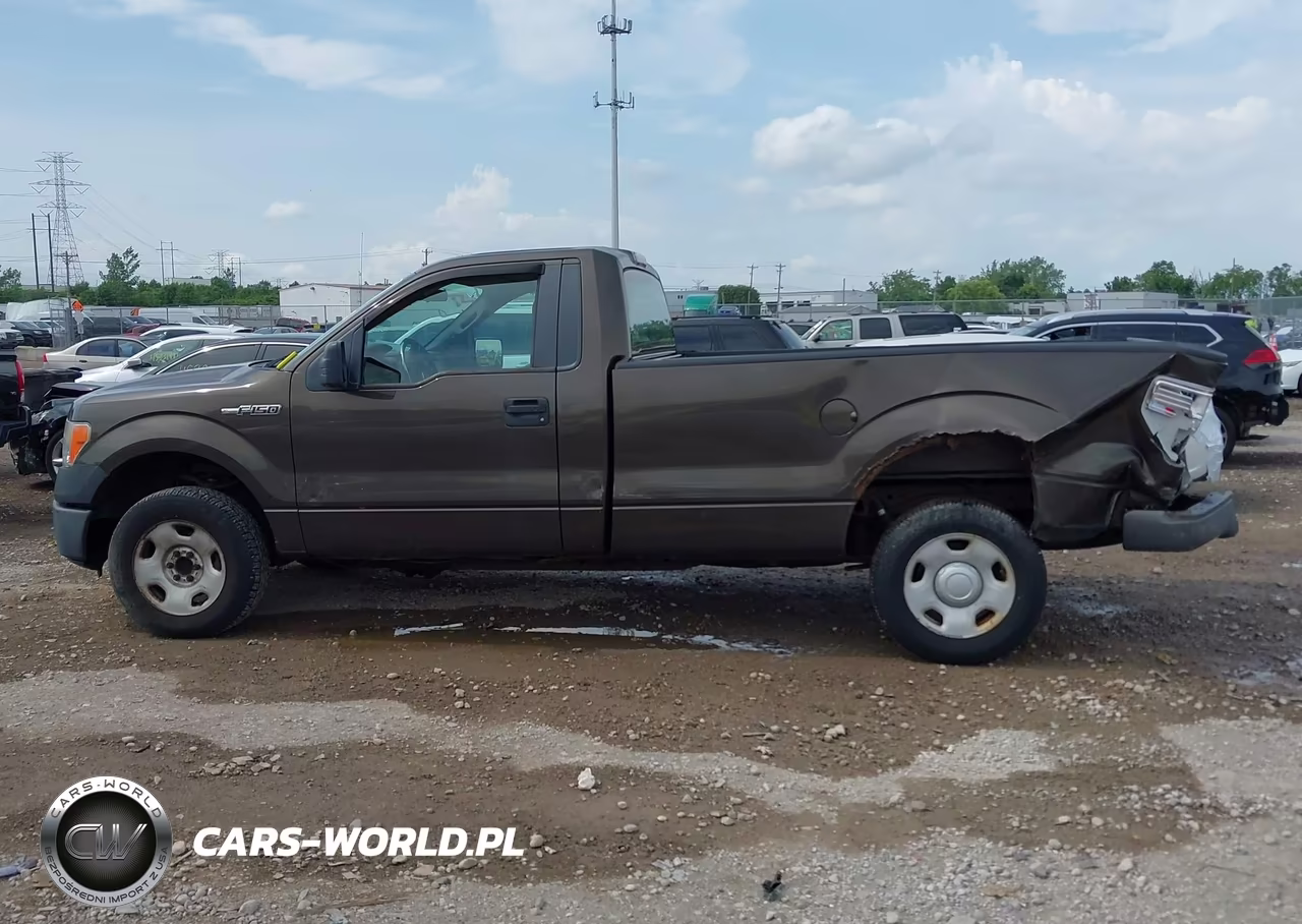 2009 Ford F-150 Stx-Xl-Xlt VIN:1FTRF12W79KB36625 - 15