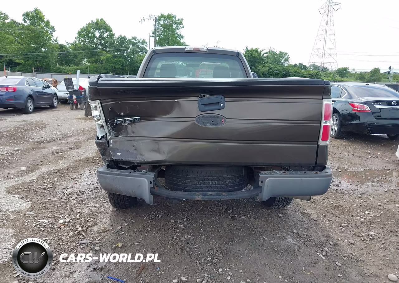 2009 Ford F-150 Stx-Xl-Xlt VIN:1FTRF12W79KB36625 - 17