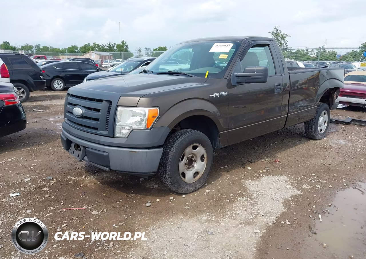 2009 Ford F-150 Stx-Xl-Xlt VIN:1FTRF12W79KB36625 - 2