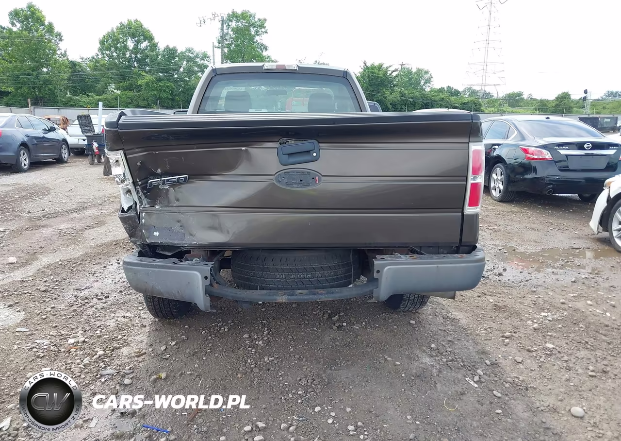 2009 Ford F-150 Stx-Xl-Xlt VIN:1FTRF12W79KB36625 - 6