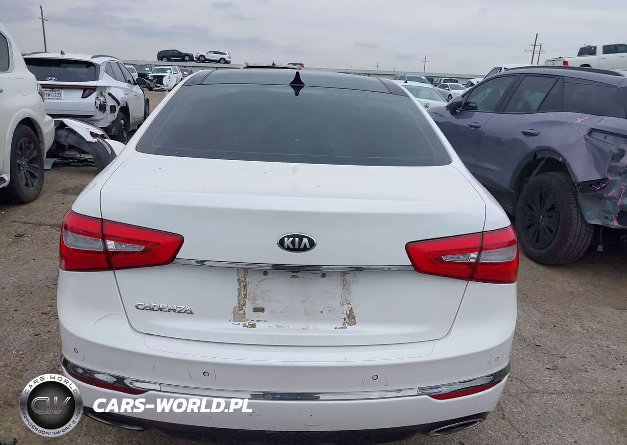 2014 Kia Cadenza Premium VIN:KNALN4D70E5131076 - 16