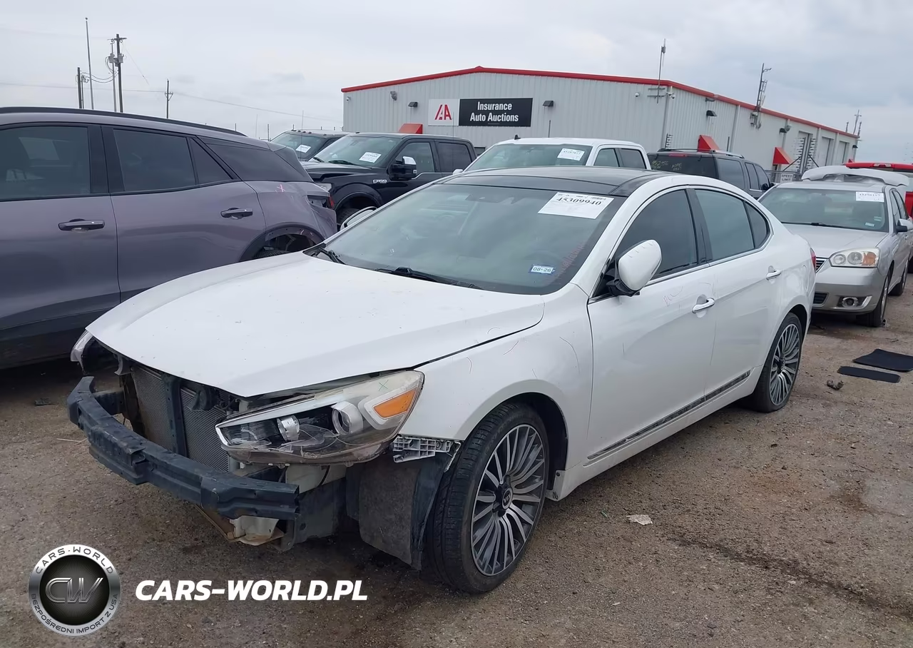 2014 Kia Cadenza Premium VIN:KNALN4D70E5131076 - 2