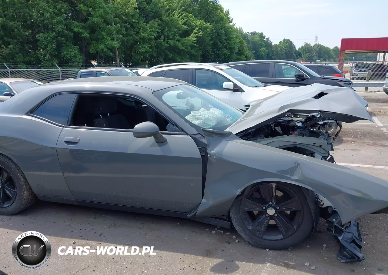 2019 Dodge Challenger Sxt VIN:2C3CDZAG3KH616215 - 14
