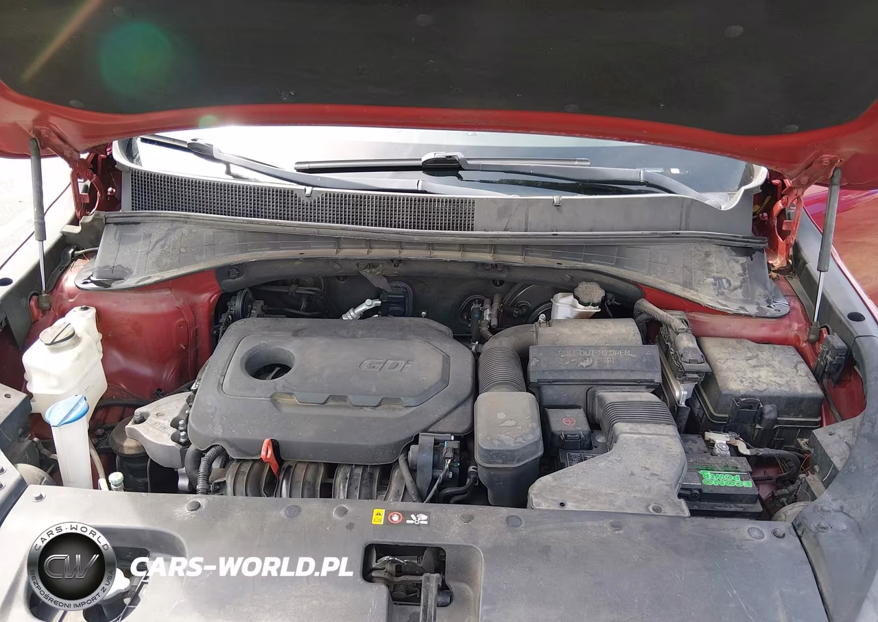 2018 Kia Sorento 2.4L Lx VIN:5XYPG4A3XJG410701 - 10