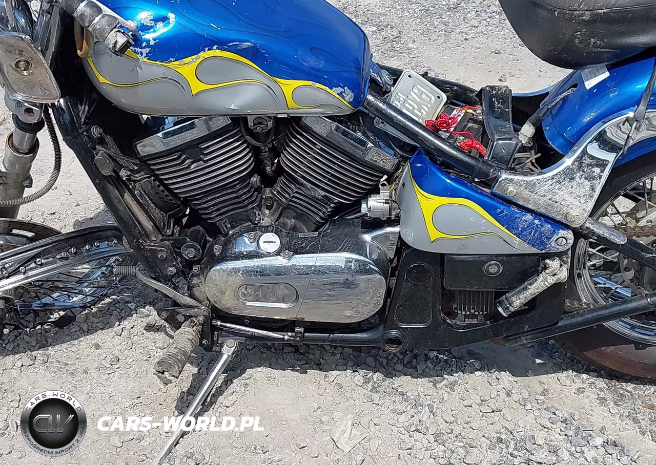 2003 Kawasaki Vn800 VIN:JKBVNCA113B511716 - 9
