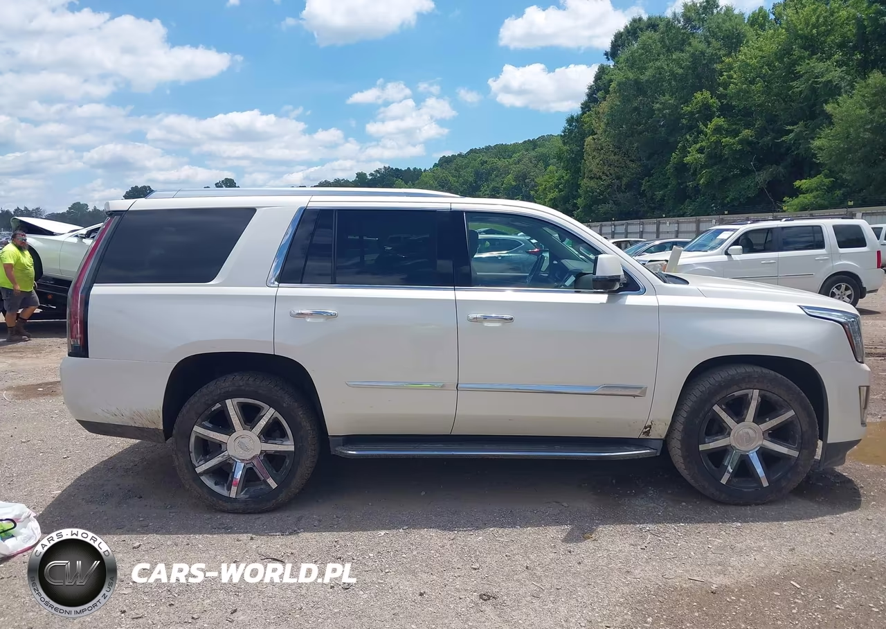 2015 Cadillac Escalade Luxury VIN:1GYS4MKJ9FR735603 - 12
