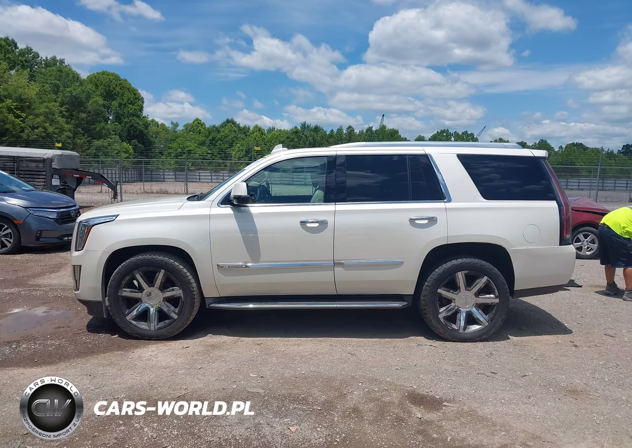 2015 Cadillac Escalade Luxury VIN:1GYS4MKJ9FR735603 - 13