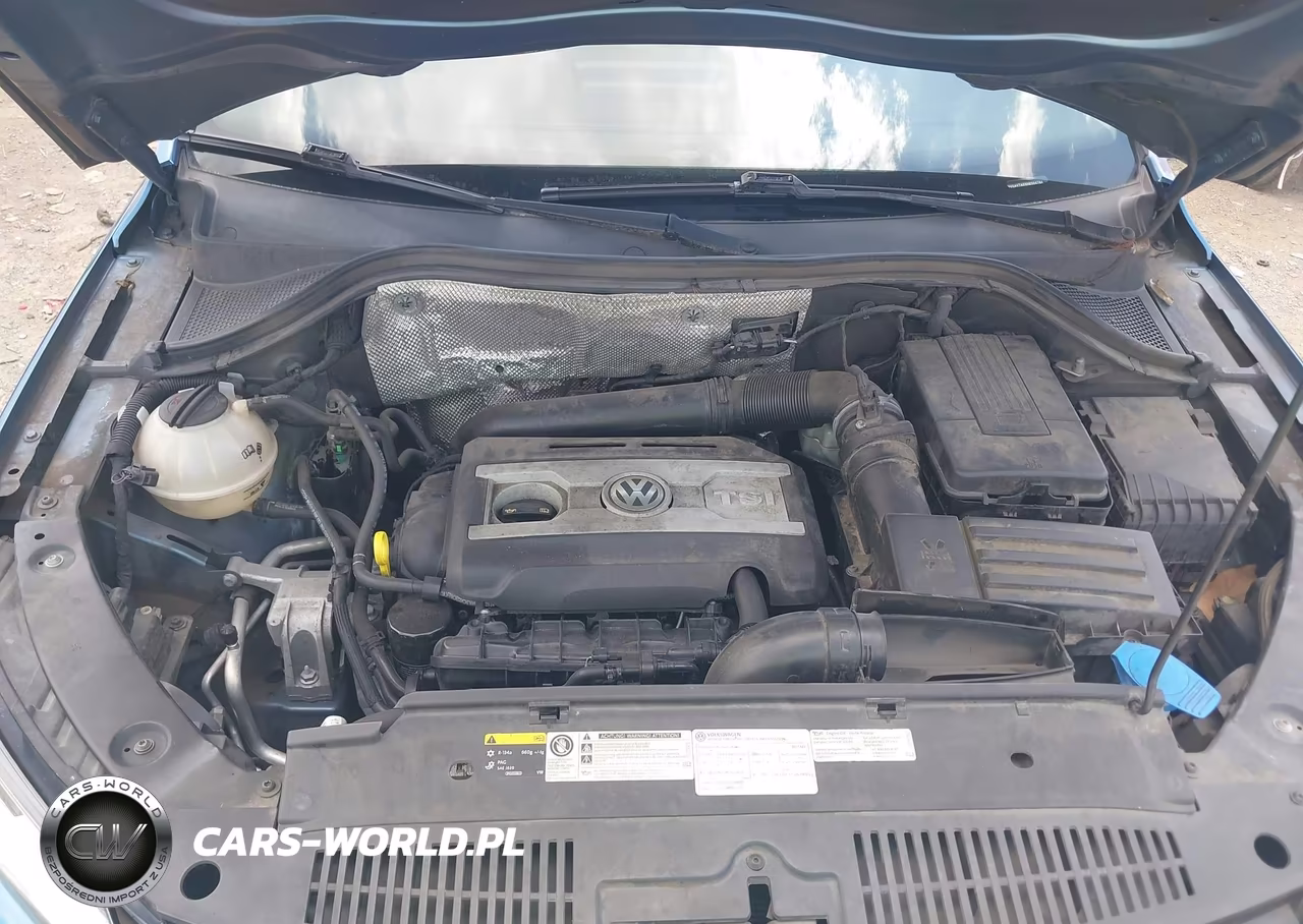 2017 Volkswagen Tiguan 2.0T-2.0T S VIN:WVGAV7AX9HK004764 - 10