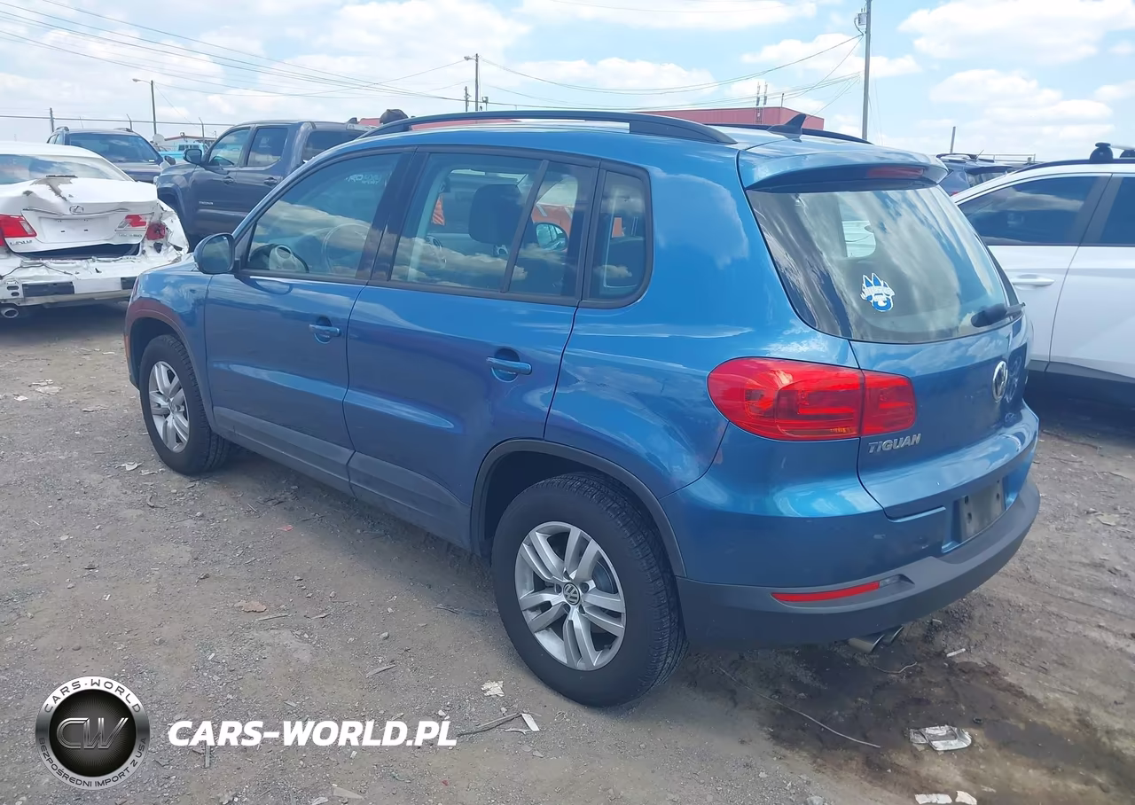 2017 Volkswagen Tiguan 2.0T-2.0T S VIN:WVGAV7AX9HK004764 - 3