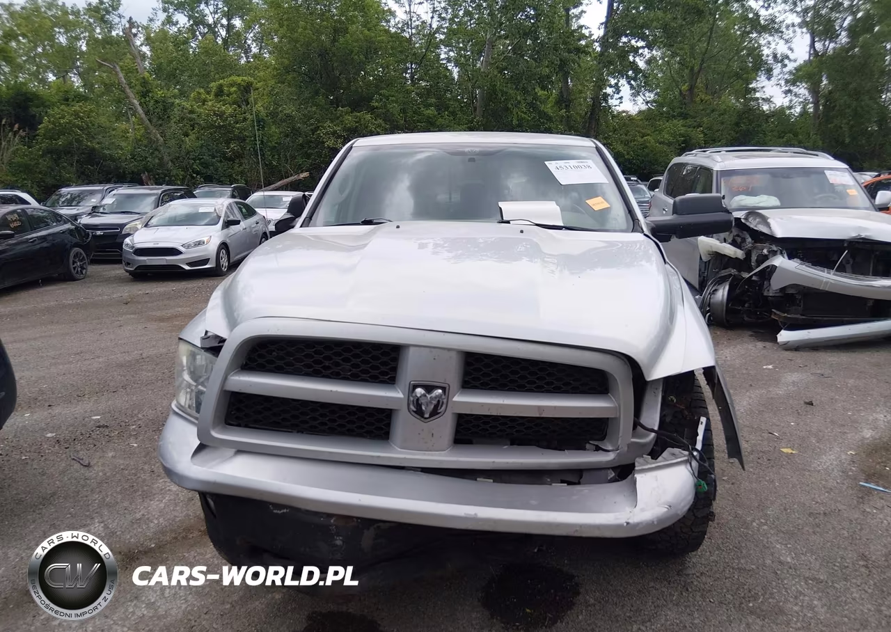 2010 Dodge Ram 1500 Slt-Sport-Trx VIN:1D7RV1CT7AS216959 - 12