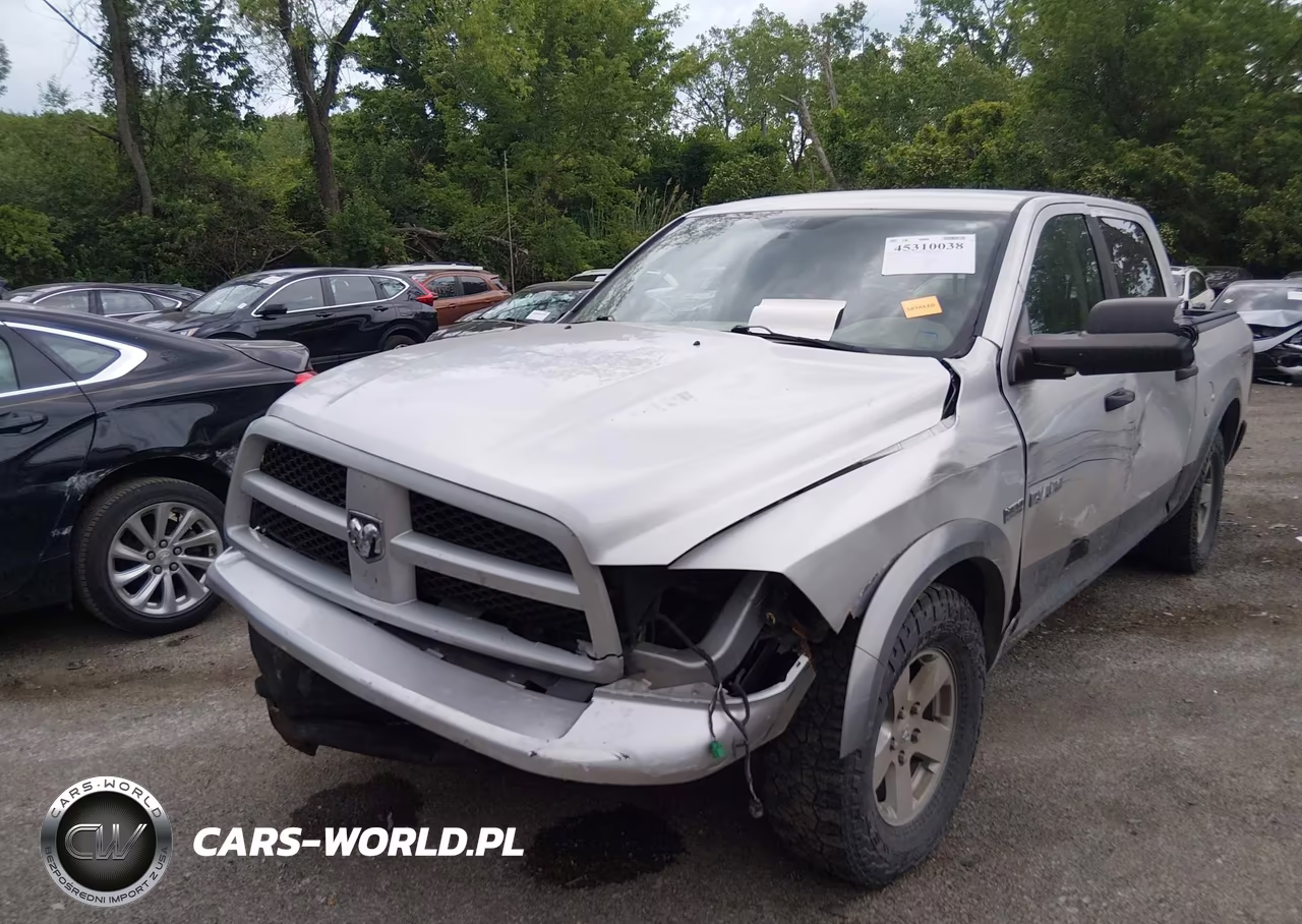 2010 Dodge Ram 1500 Slt-Sport-Trx VIN:1D7RV1CT7AS216959 - 2