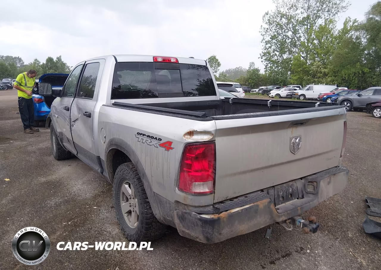 2010 Dodge Ram 1500 Slt-Sport-Trx VIN:1D7RV1CT7AS216959 - 3
