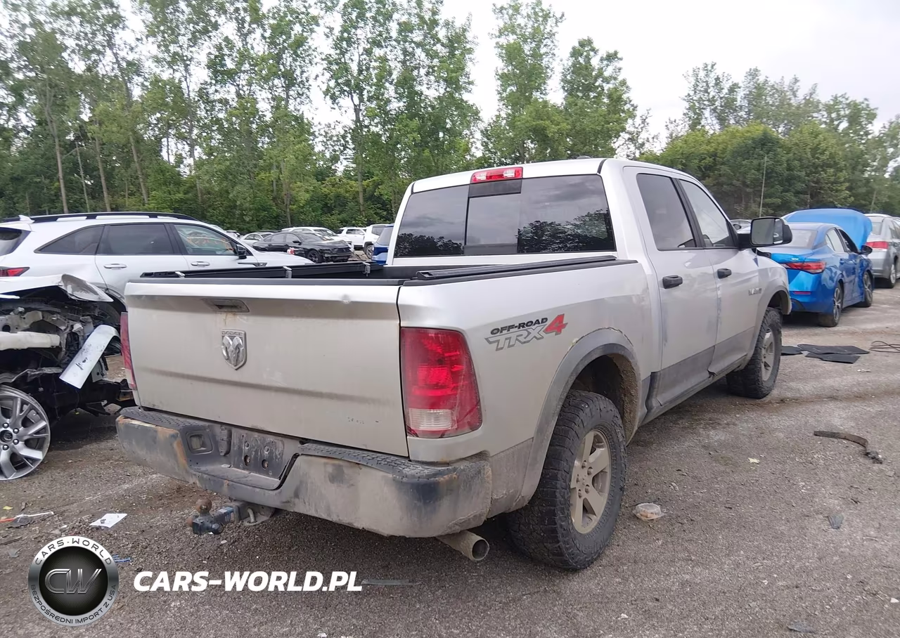 2010 Dodge Ram 1500 Slt-Sport-Trx VIN:1D7RV1CT7AS216959 - 4
