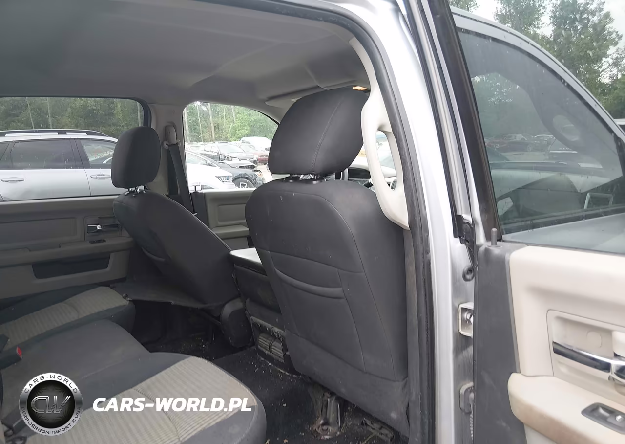 2010 Dodge Ram 1500 Slt-Sport-Trx VIN:1D7RV1CT7AS216959 - 8