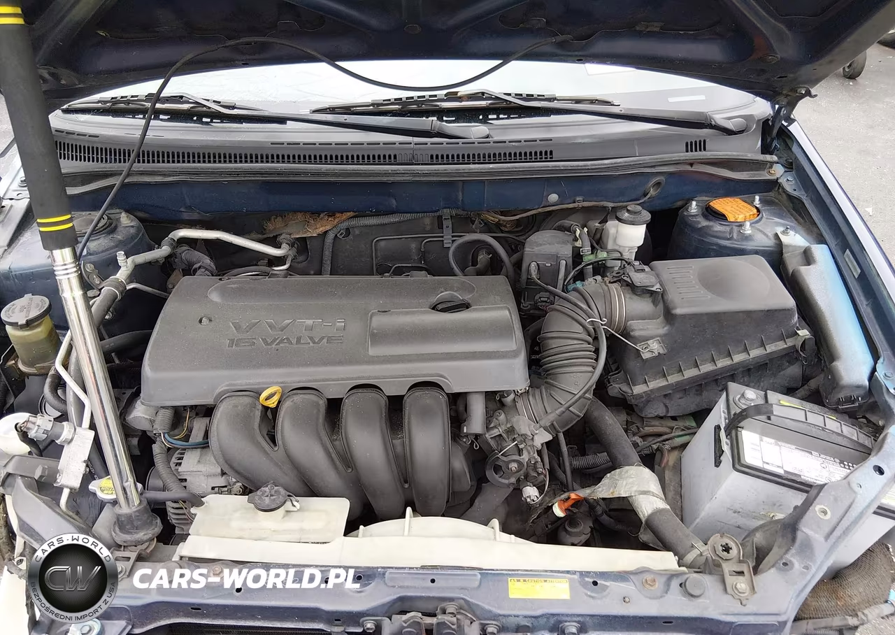 2004 Toyota Corolla S VIN:1NXBR32EX4Z273496 - 10