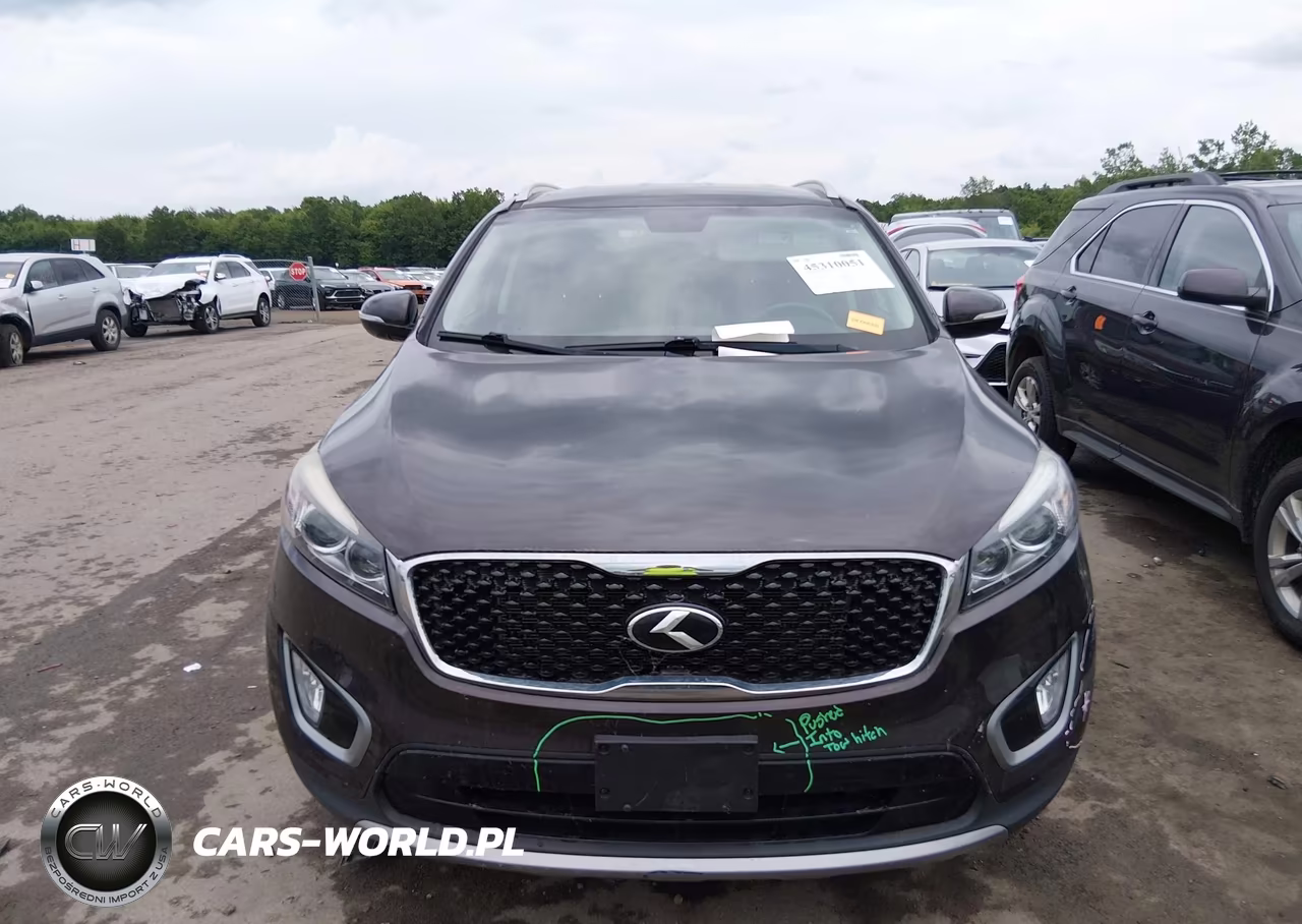 2017 Kia Sorento 3.3L Ex VIN:5XYPHDA58HG314834 - 12
