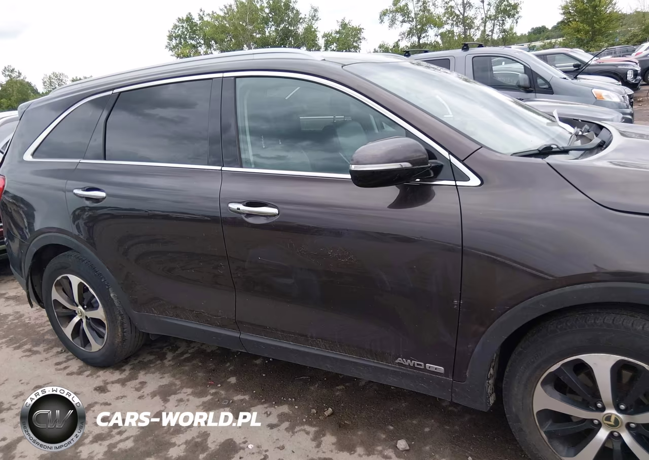 2017 Kia Sorento 3.3L Ex VIN:5XYPHDA58HG314834 - 13