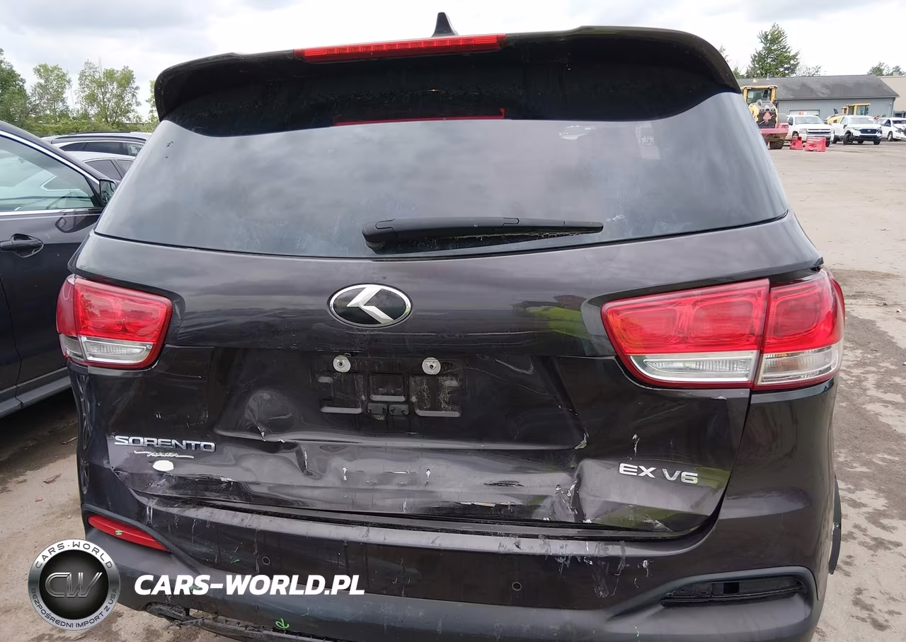 2017 Kia Sorento 3.3L Ex VIN:5XYPHDA58HG314834 - 16