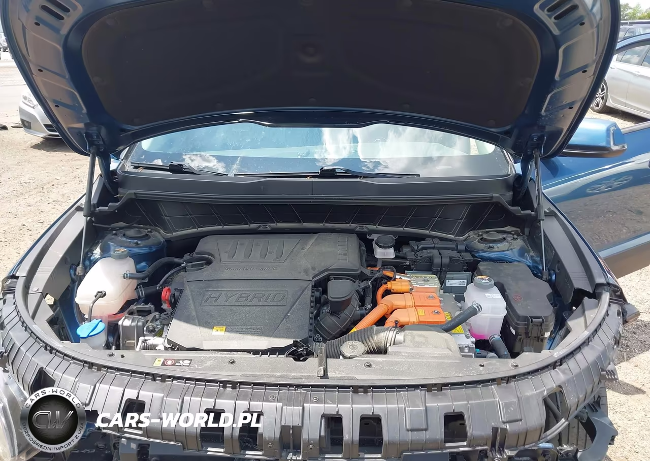 2025 Kia Niro Ex VIN:KNDCR3LE4S5281625 - 10
