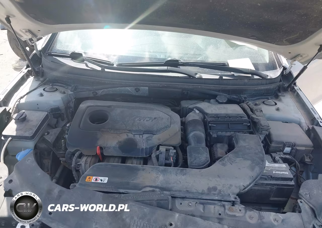 2016 Hyundai Sonata Se VIN:5NPE24AF2GH324820 - 10