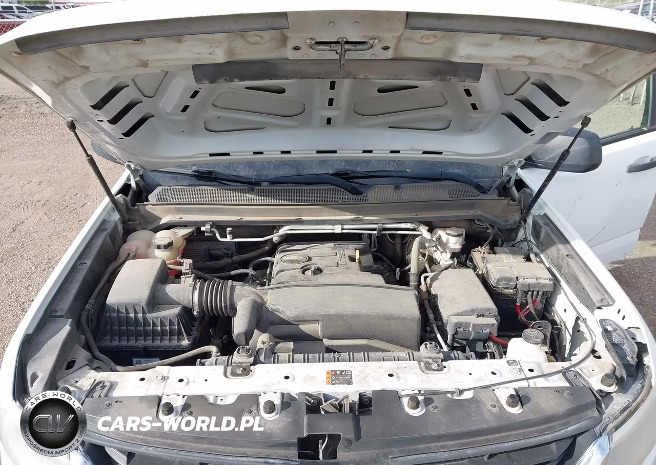 2020 Chevrolet Colorado 2Wd Long Box Wt VIN:1GCHSBEA0L1185434 - 10