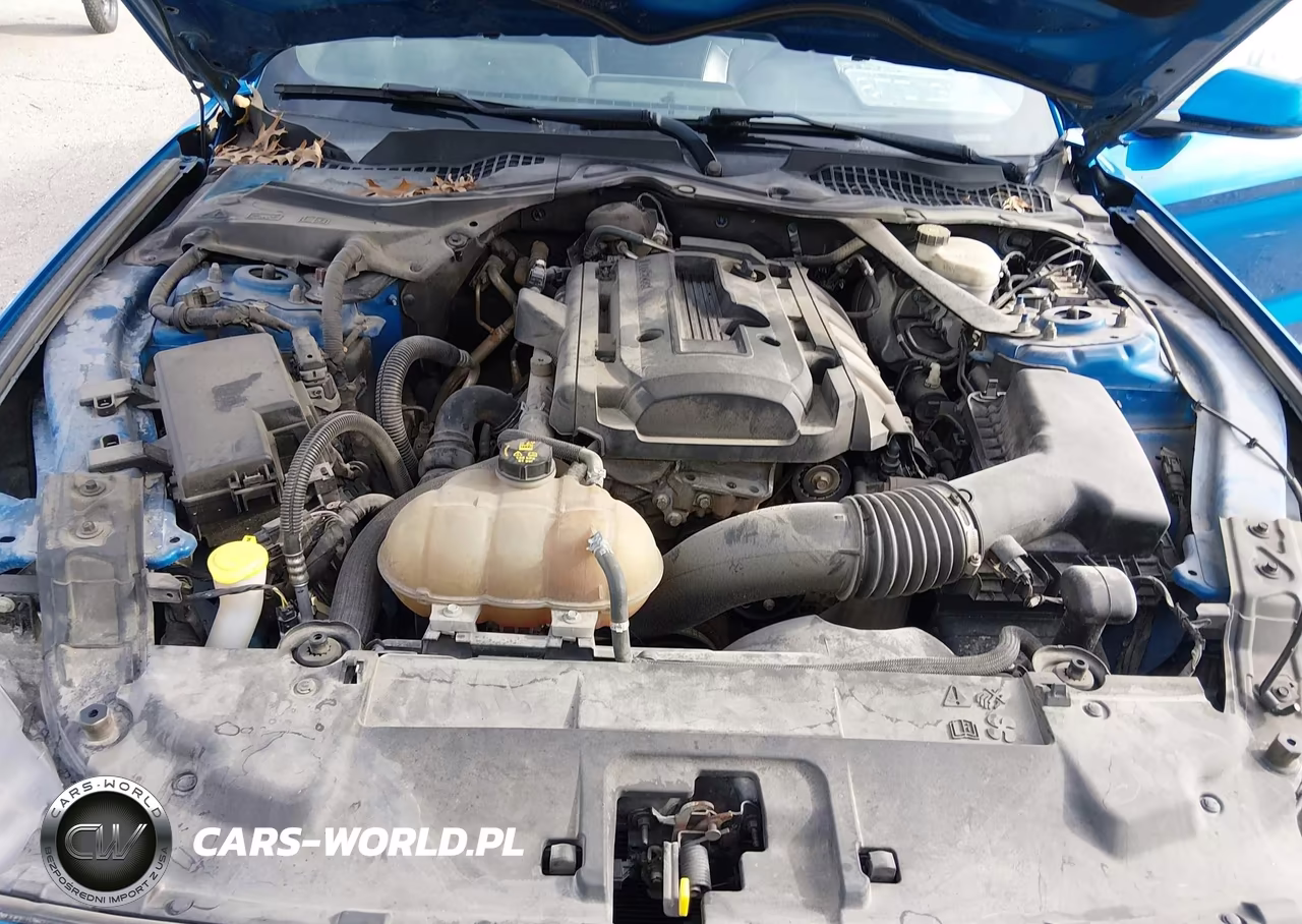 2019 Ford Mustang Ecoboost Premium VIN:1FATP8UH8K5172344 - 10