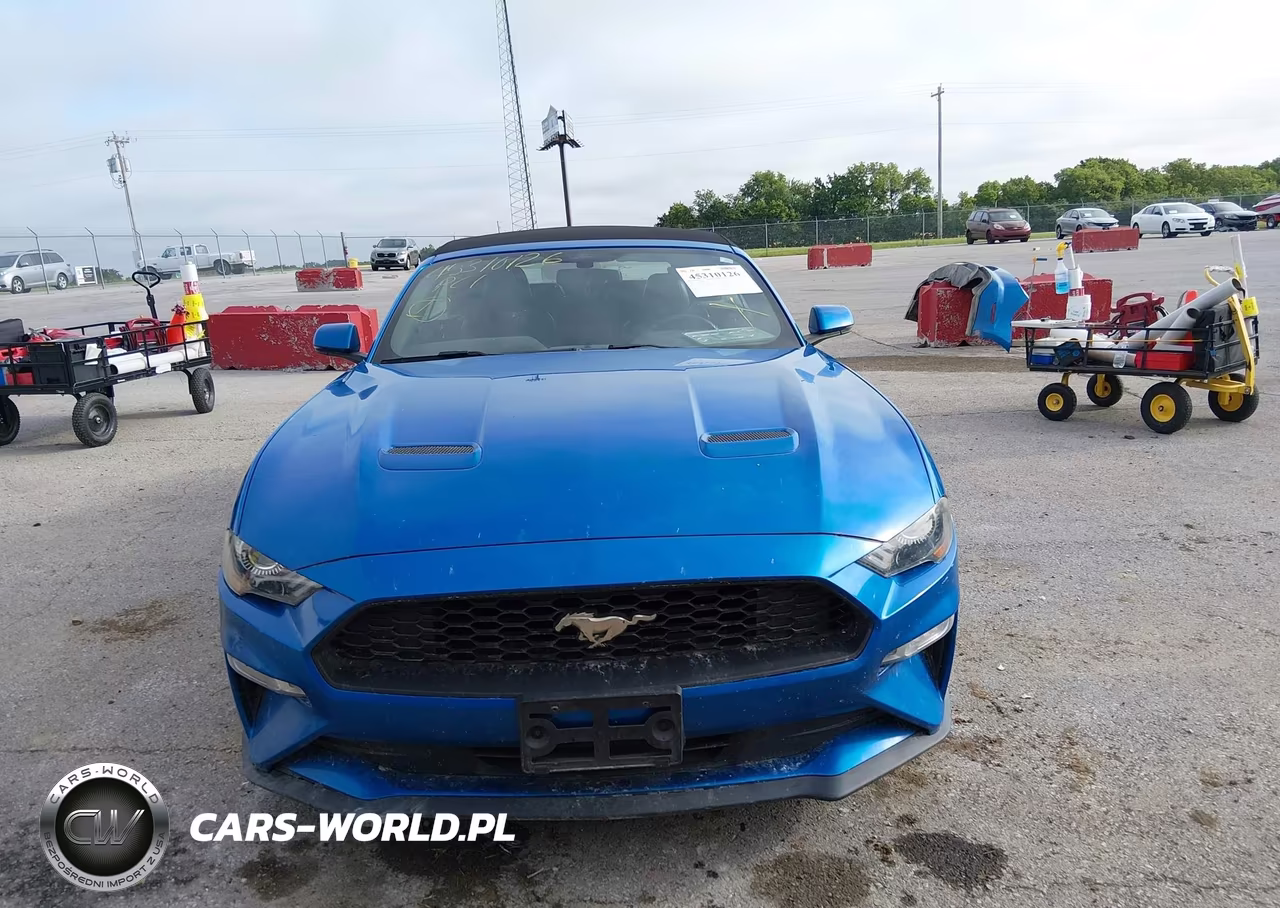 2019 Ford Mustang Ecoboost Premium VIN:1FATP8UH8K5172344 - 13