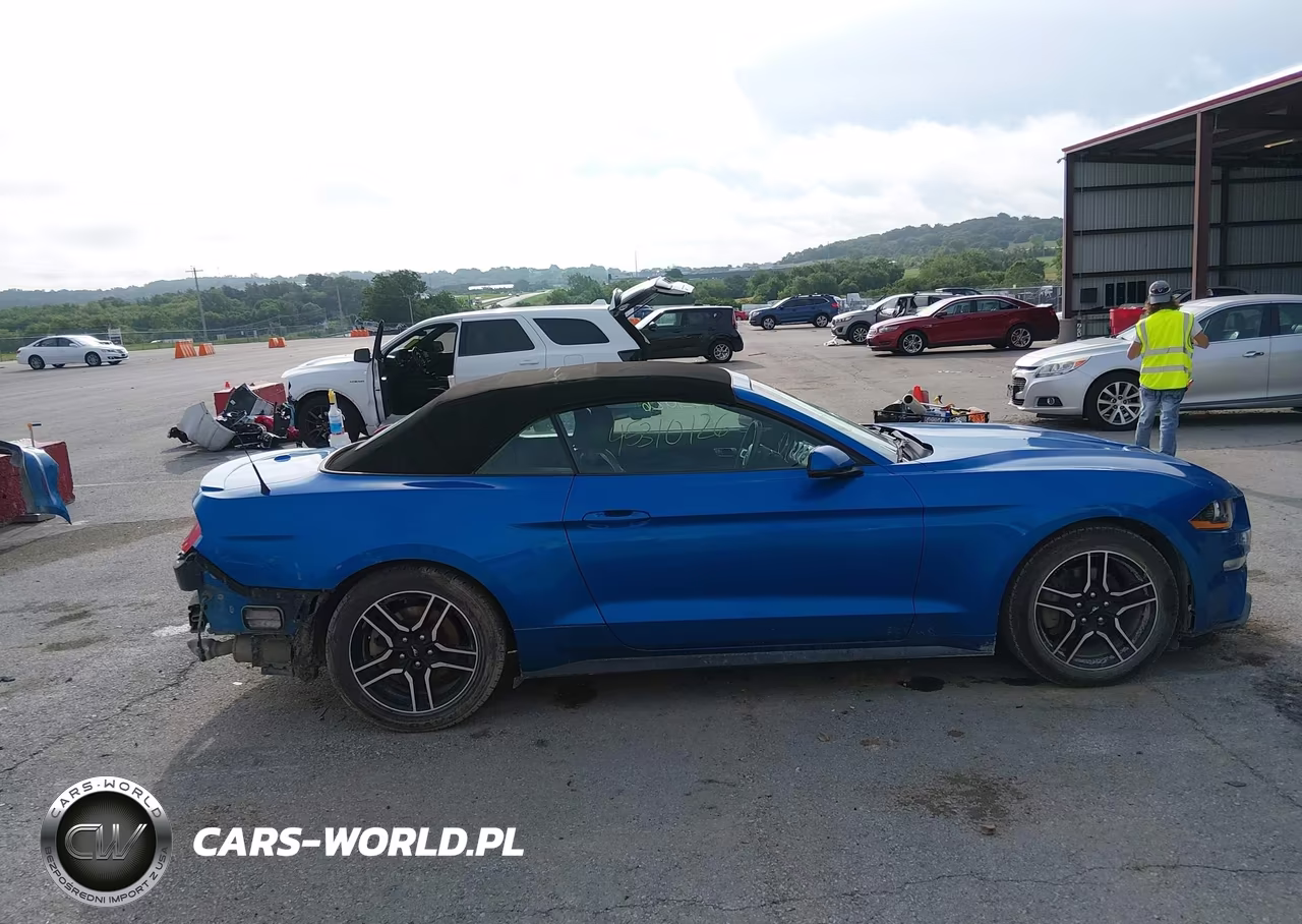 2019 Ford Mustang Ecoboost Premium VIN:1FATP8UH8K5172344 - 14