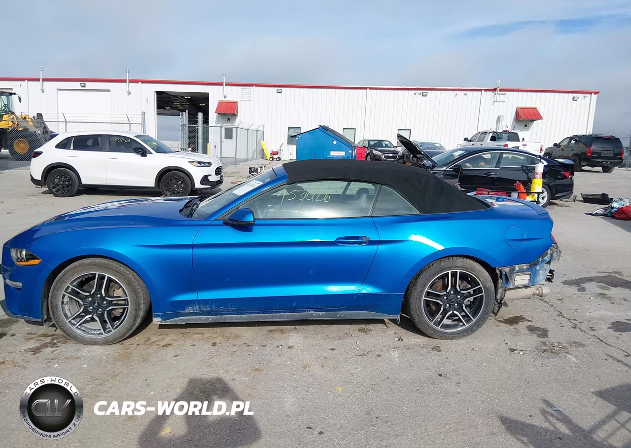 2019 Ford Mustang Ecoboost Premium VIN:1FATP8UH8K5172344 - 15