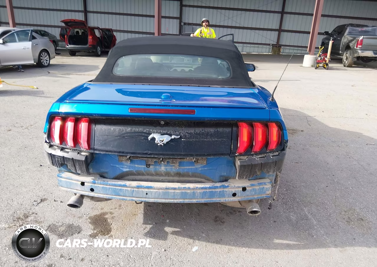 2019 Ford Mustang Ecoboost Premium VIN:1FATP8UH8K5172344 - 17