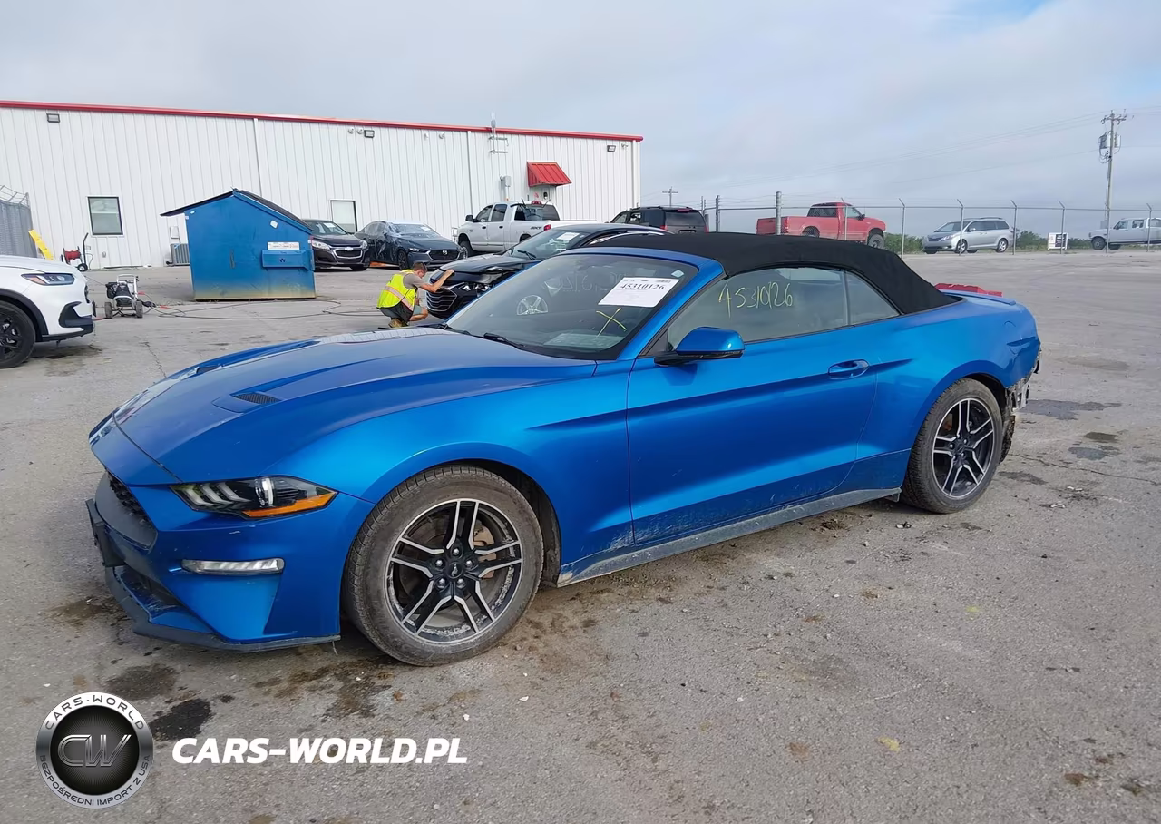 2019 Ford Mustang Ecoboost Premium VIN:1FATP8UH8K5172344 - 2