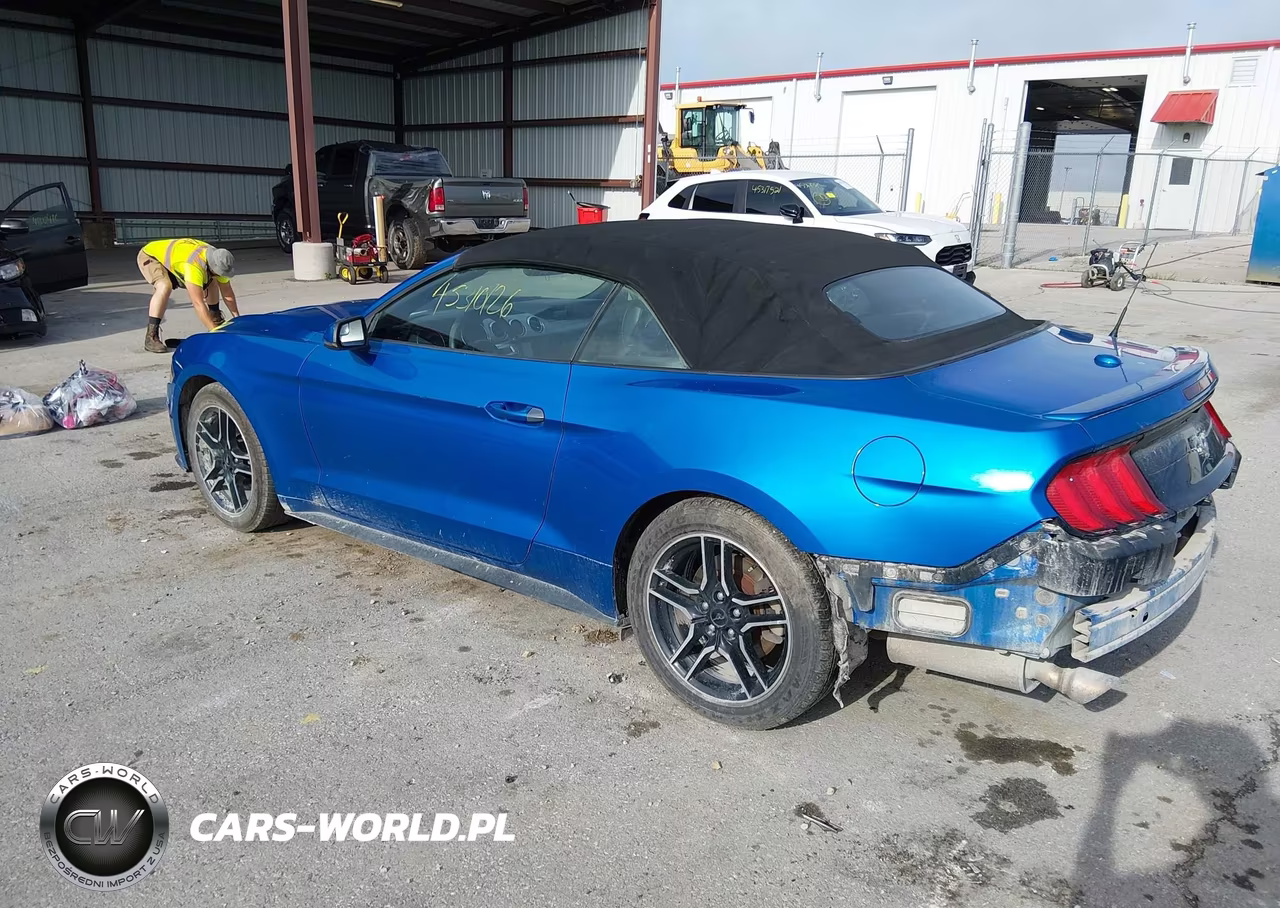 2019 Ford Mustang Ecoboost Premium VIN:1FATP8UH8K5172344 - 3