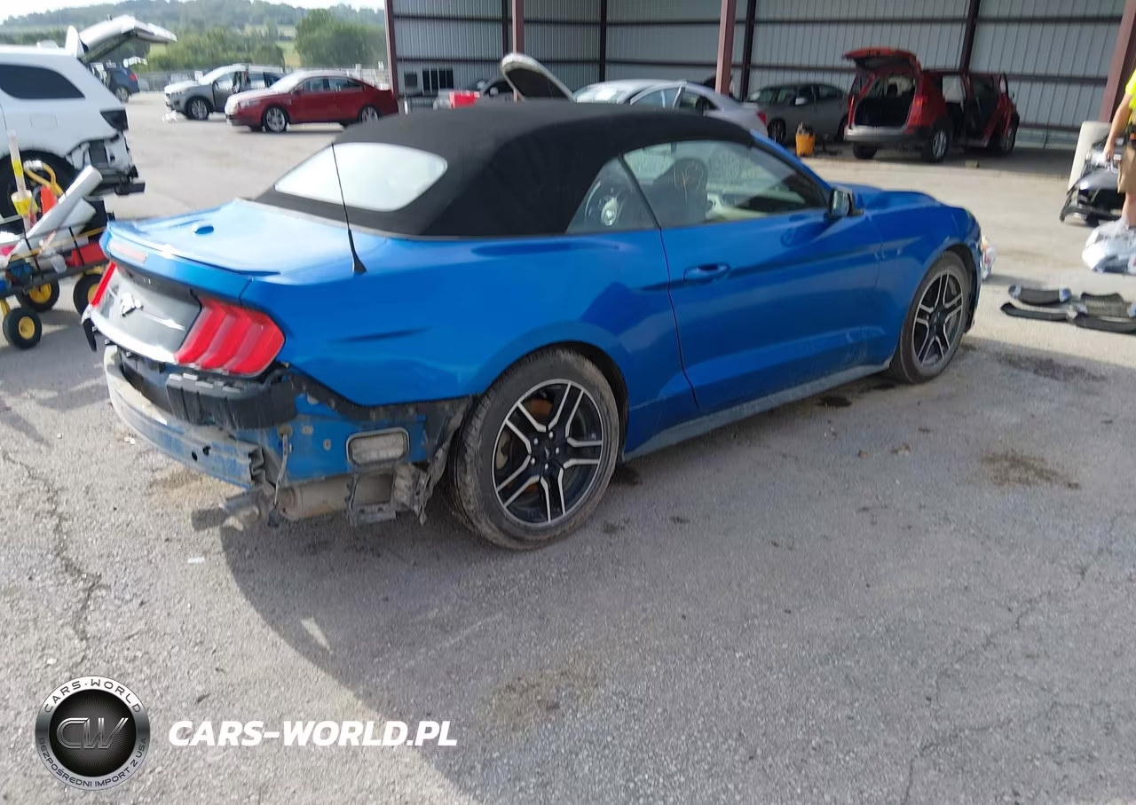 2019 Ford Mustang Ecoboost Premium VIN:1FATP8UH8K5172344 - 4