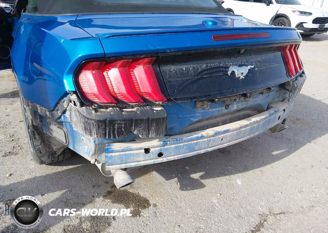 2019 Ford Mustang Ecoboost Premium VIN:1FATP8UH8K5172344 - 6