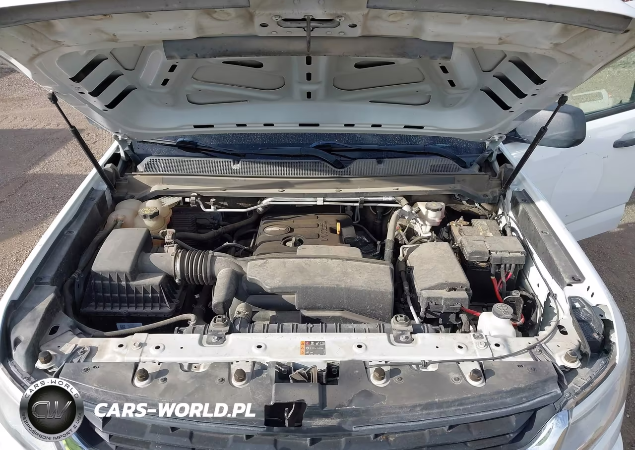 2020 Chevrolet Colorado 2Wd Long Box Wt VIN:1GCHSBEA3L1185444 - 10