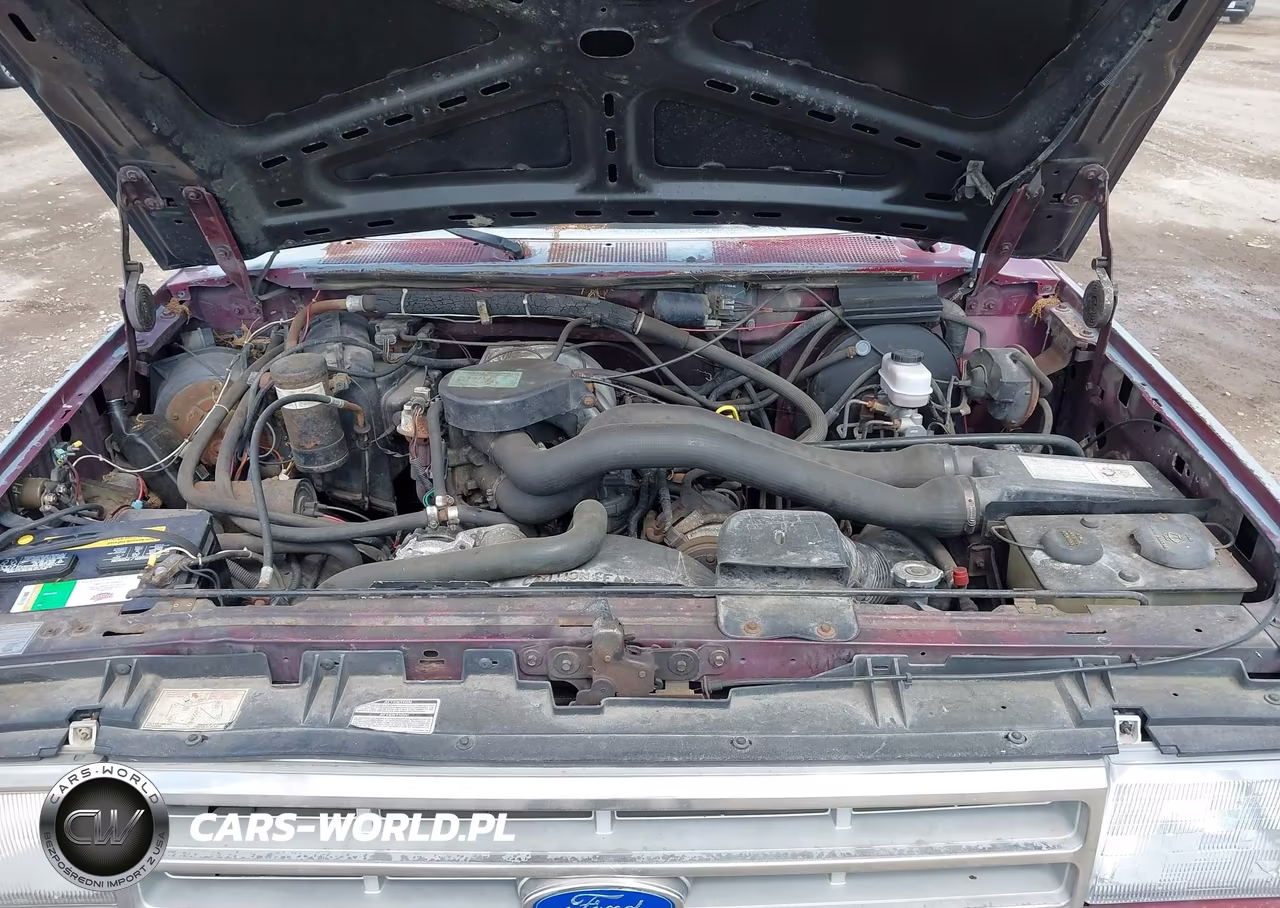 1988 Ford F150 VIN:1FTEF15N4JNA56686 - 10